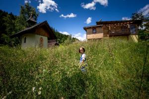 Fotografie z fotogalerie ubytování Panorama Apartment Bauernhof Mandl v destinaci Murau