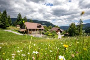 Dārzs pie naktsmītnes Panorama Apartment Bauernhof Mandl