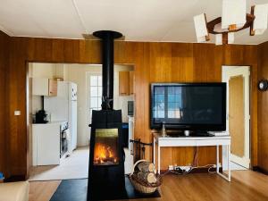 a living room with a fireplace and a tv at Chill & Nature in Nargis