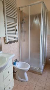 a bathroom with a shower and a toilet and a sink at Casa Rosa in Rocca San Giovanni
