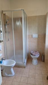 a bathroom with a shower and a toilet and a sink at Casa Rosa in Rocca San Giovanni