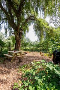 a picnic table under a tree in a park at Secret Garden 2 in Mellehoek