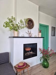 a living room with a fireplace and a green door at Abaton - Casa vacanza in Metaponto