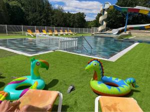 a pool with two inflatable dinosaurs on the grass at Camping 3 étoiles - Piscine - ccbfa0c in Saint-Mandé-sur-Brédoire