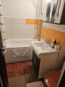 a bathroom with a sink and a bath tub at Stone Bridge Studio in Iaşi +21 photos
