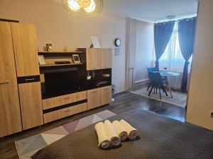 a living room with a large entertainment center with a tv at Stone Bridge Studio in Iaşi