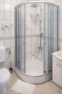 a bathroom with a shower with a tub and a toilet at Villa Una Maris - renovated 2026 in Pag