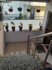 a balcony with potted plants on a wall at Hotel Ashu , Ntl Road in Haldwāni