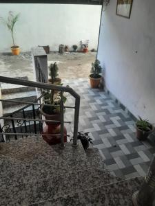 a stairway with potted plants on a tile floor at Hotel Ashu , Ntl Road in Haldwāni