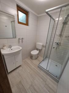a bathroom with a shower and a sink and a toilet at Bear Watching Tiny House in Lupeni
