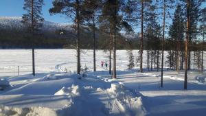 a person is skiing in a snow covered field at Levi Lakeview Ahvenranta in Kittilä