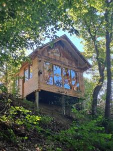 a tree house in the middle of a forest at Bear Watching Tiny House in Lupeni