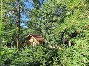 a small cabin in the middle of a forest at Bear Watching Tiny House in Lupeni +17 photos