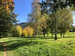 a grassy field with trees and mountains in the background at Maisonnette dans son écrin de verdure in Saint-Geniez-dʼOlt
