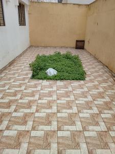 a room with a plant in the middle of a floor at Razzak in Rabat