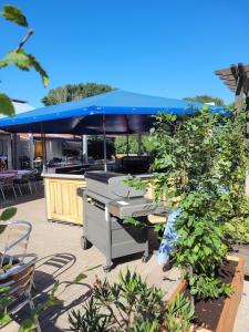 a barbecue grill with a plant in front of a restaurant at Hotel und Gasthaus Sieling in Liebenau