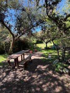 a wooden picnic table in a park with trees at Casa Domo Juella in Juella