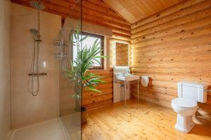 a bathroom with a toilet and a glass shower at Penhill in Constable Burton +29 photos