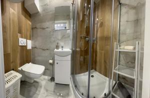 a bathroom with a shower and a toilet at Apartament Jedenastka in Kraśnik