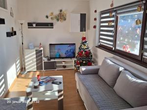 a living room with a christmas tree and a television at Stan na dan Grahovo in Bosansko Grahovo