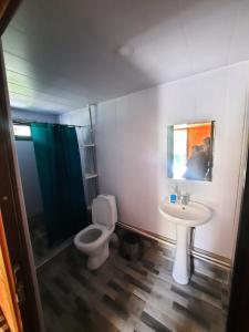 a bathroom with a toilet and a sink at Dartlo Hotel in Dart'lo