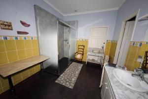 a bathroom with a shower and a sink at Chambres d'Hôtes La Maison Blanche in Lorp Sentaraille +31 photos