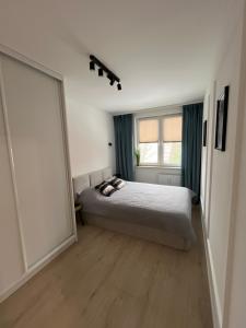 a bedroom with a bed and a large window at Apartament Jedenastka in Kraśnik