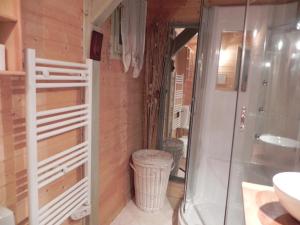 a bathroom with a glass shower and a sink at chalet besse en chandese in Besse-et-Saint-Anastaise +13 photos