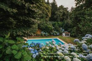 an aerial view of a garden with a swimming pool at Casa Lobos in Vieira do Minho