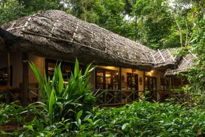 a house with a thatched roof in the forest at Spice Village Thekkady - A CGH Earth Experience in Thekkady