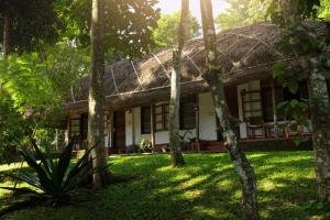 a house with a thatched roof in the forest at Spice Village Thekkady - A CGH Earth Experience in Thekkady