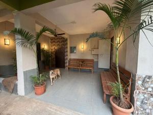 a living room with a dog and two palm trees at Umang Homestay in Talegaon Dābhāde