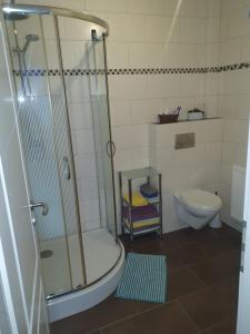 a bathroom with a shower and a toilet at Ferienwohnung zur Apotheke in Hessen