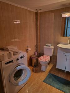 a bathroom with a washing machine and a toilet at Magda's apartments in Perea