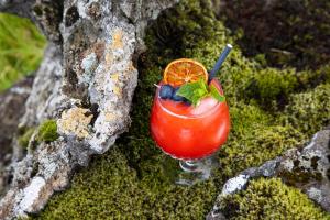 a red drink with an orange slice on a rock at Miðhraun - Lava resort & Restaurant in Midhraun +34 photos