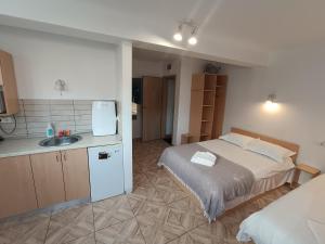 a bedroom with a bed and a sink in it at Casa Rezidentiala Pasteur in Cluj-Napoca
