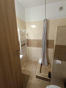 a bathroom with a shower and a sink and a toilet at Casa Rezidentiala Pasteur in Cluj-Napoca +70 photos
