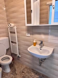 a bathroom with a sink and a toilet at Ljubljana rest nest in Ljubljana