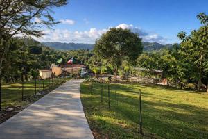 a walking path in a park with a field at Doa Blanca Cabin Mountain View in Utuado
