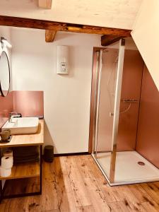 a bathroom with a shower and a sink at Chalet Lilienstein, Dachgeschoß-Studio neu 2026 in Königstein an der Elbe +18 photos