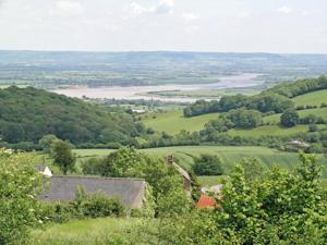 a view of a green field with trees and a river at Vale View Cottage in Cinderford