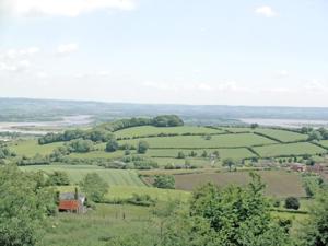 a view of a green field with trees and houses at Vale View Cottage in Cinderford