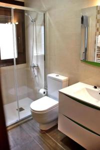 a bathroom with a toilet and a shower and a sink at Apartamentos Aldeas de Pontones in Pontones +21 photos