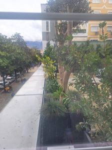 a view from a window of a building with plants at Charles City Center in Tirana