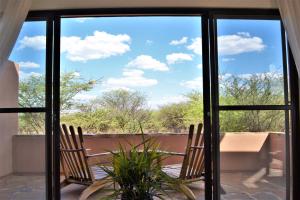 a patio with two chairs and a table and a window at Cheetah View Lodge at Cheetah Conservation Fund in Otjiwarongo