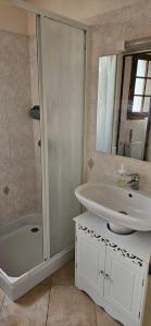 a bathroom with a sink and a shower and a mirror at Studio plainpied in Saint-Doulchard