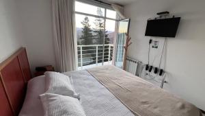 a bedroom with a bed and a large window at Hostería Huinganco in Huinganco