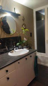 a bathroom with a sink and a mirror and plants at Chambrecosy maison de charme proche gare et centre historique in Quimper +18 photos