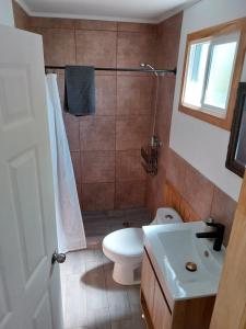 a bathroom with a shower and a toilet and a sink at Cabaña Lefuco, Curacautin in Manzanar