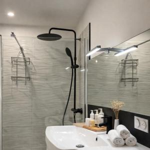 a bathroom with a shower and a white sink at Instant Angers Hyper Centre in Angers